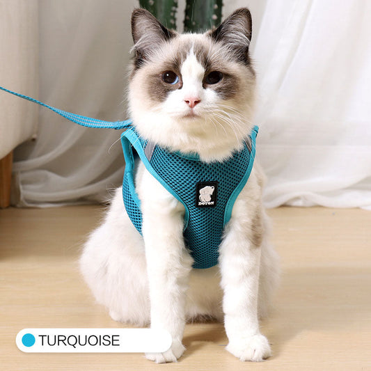 Secure, comfortable harness that keeps your cat safe and in control.