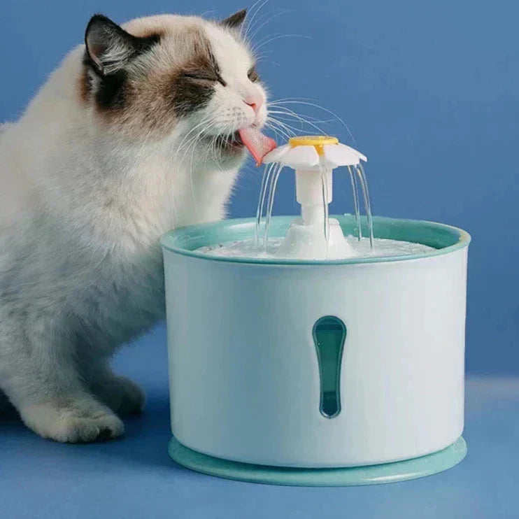 Continuous fresh water flow to keep your cat hydrated and healthy.