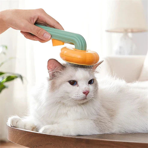 Gentle pumpkin-shaped brush for smooth, tangle-free fur.
